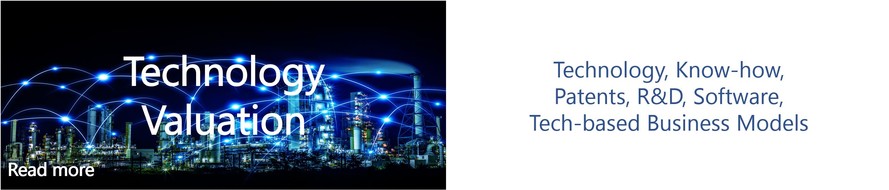ICM Advisors technology valuation service